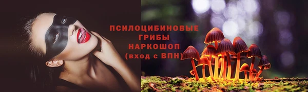 ешки Семилуки