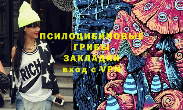 ешки Семилуки